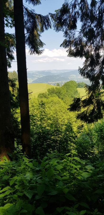 Gasthaus Sternen Post Oberried  Exteriör bild