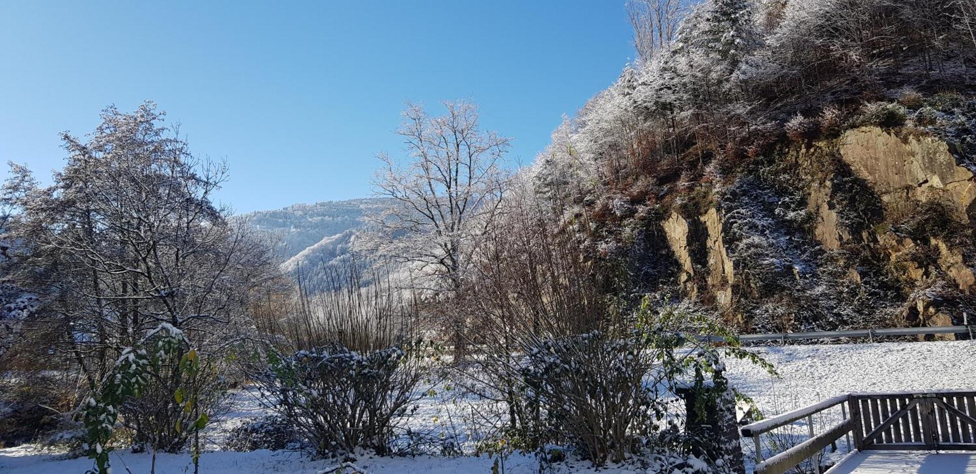 Gasthaus Sternen Post Oberried  Exteriör bild