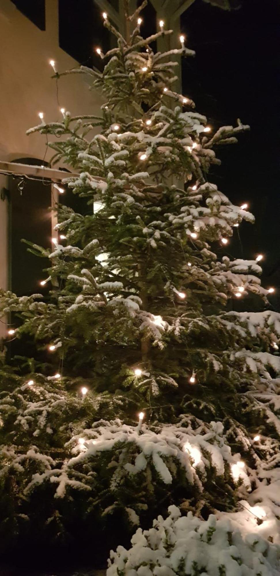 Gasthaus Sternen Post Oberried  Exteriör bild